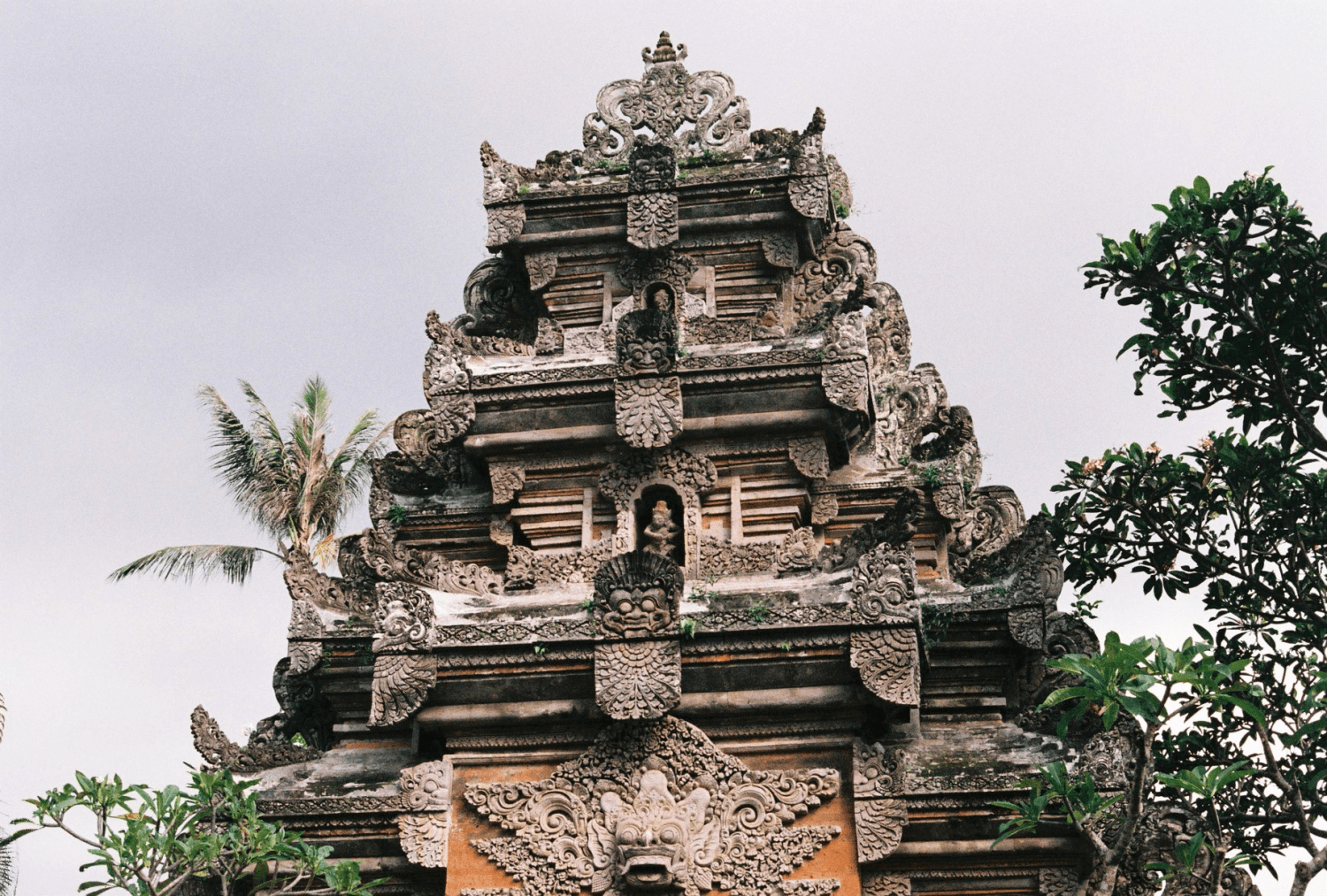 Bali on Film (35mm)