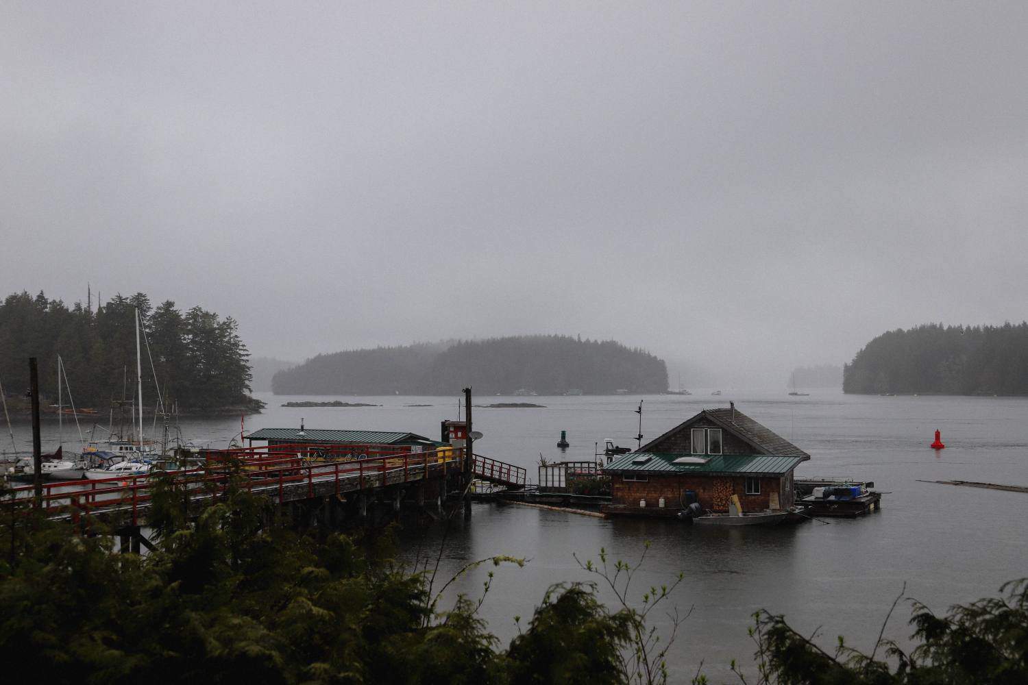 5 Things To Do In Tofino When It’s Raining